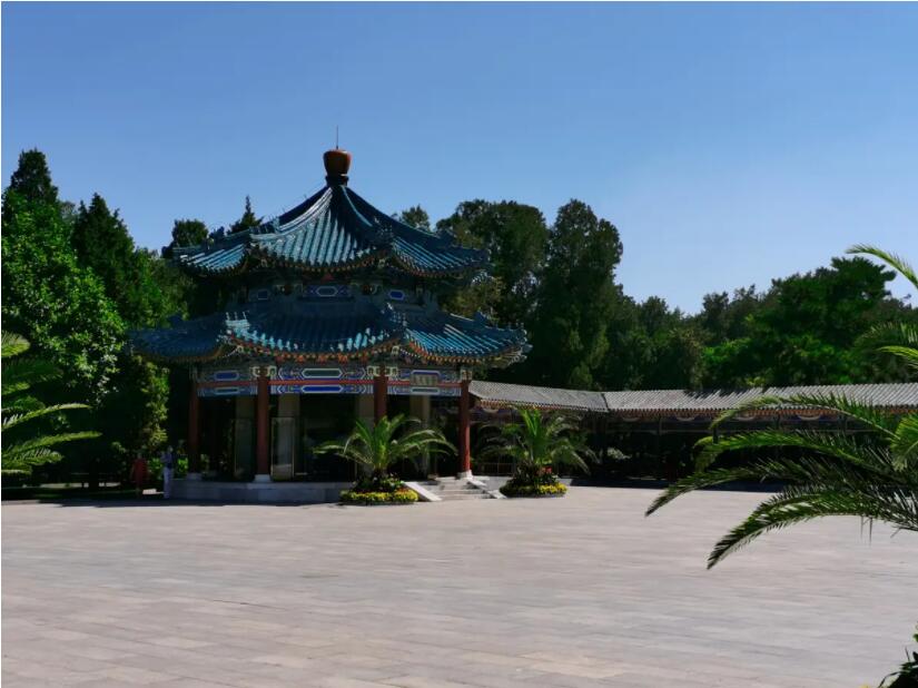 北京推出111個(gè)公園賞花片區(qū)